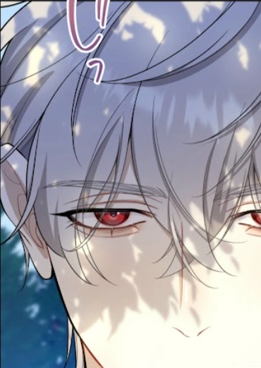 Chapter 25